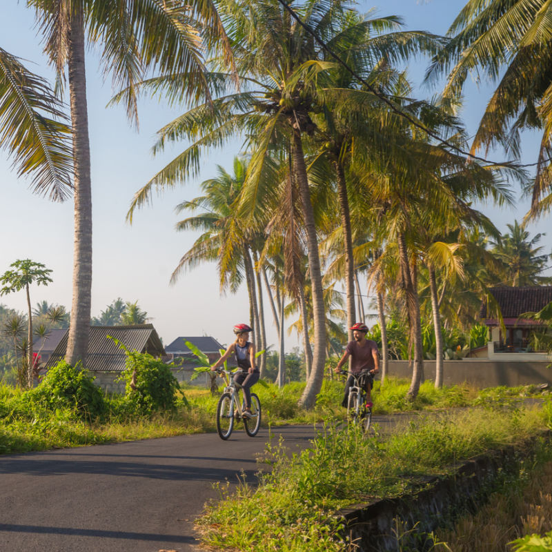 Couple In Bali Cycle Along Road Lined With Palm Trees For A Healthy Adventure.