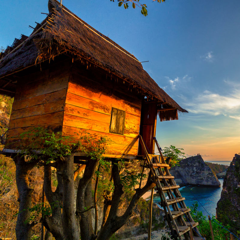 Cute Treehouse In Bali Overlooking Ocean