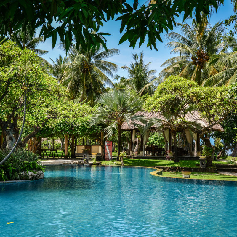 Hotel In North Bali Near Lovina Swimming Pool And Tropical Garden.