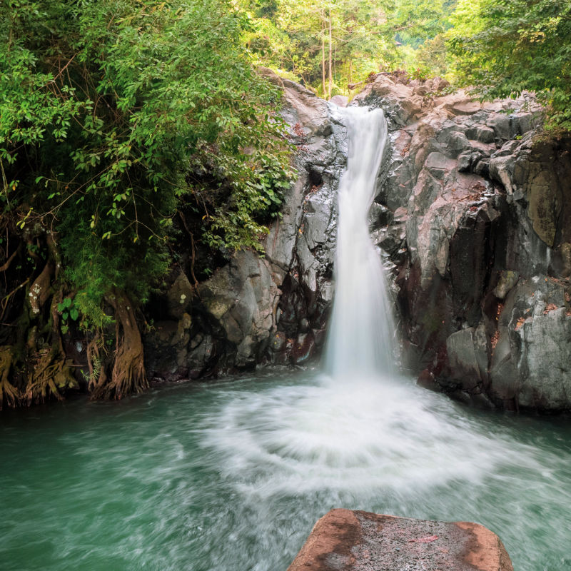 Kroya Waterfall Flows into Jungle Pool in Buleleng Bali