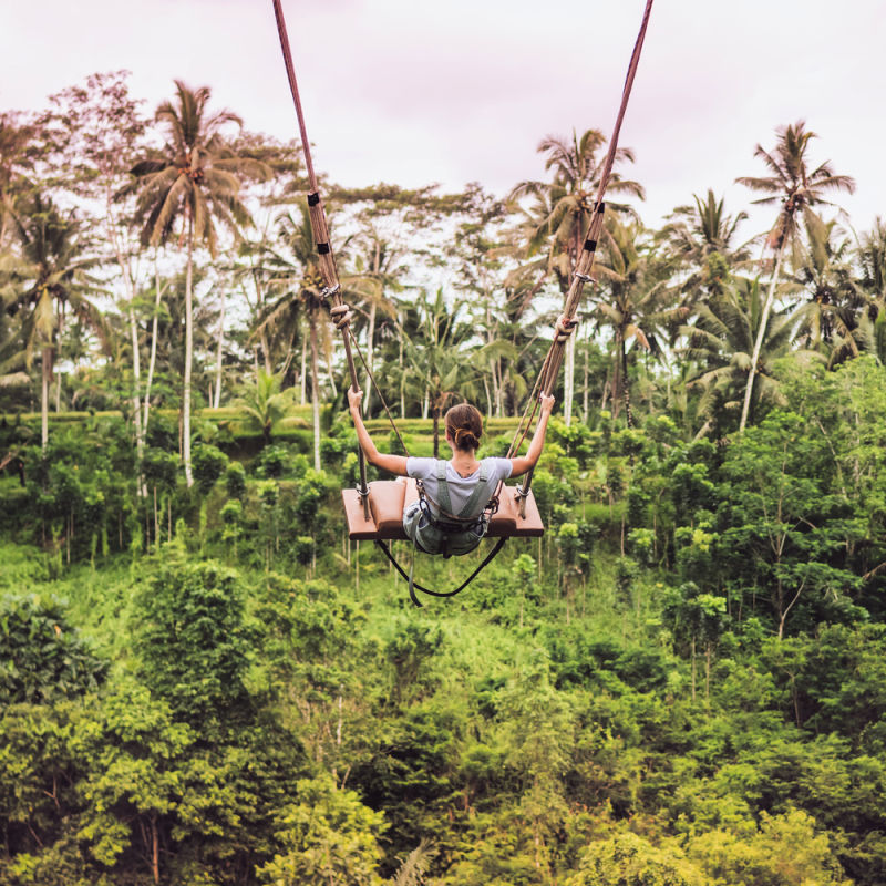 Tourist Swings on Bali Swing At Rice Fields
