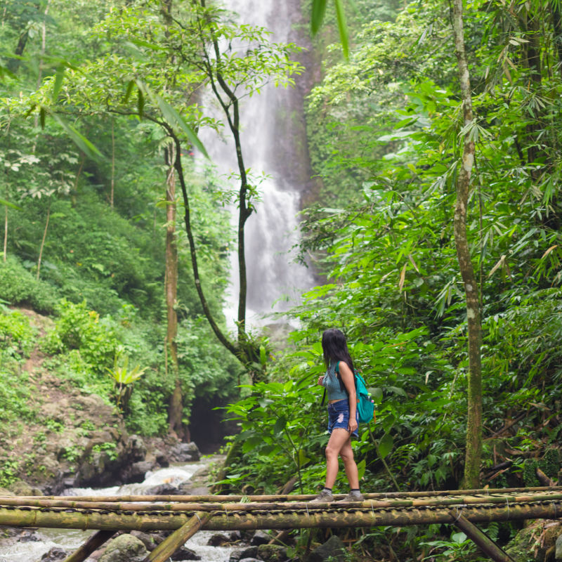 Tourist Walks Over Bamboo Bridge In Bali Jungle By Waterfall