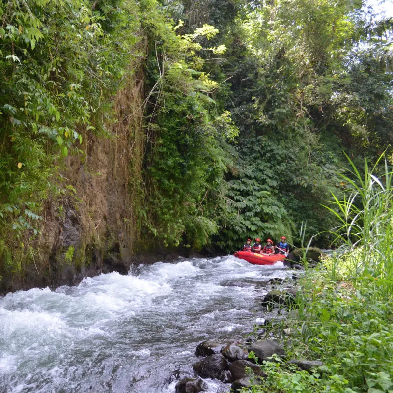 Tourists Rafting in Bali Approach Water Rapids On River.