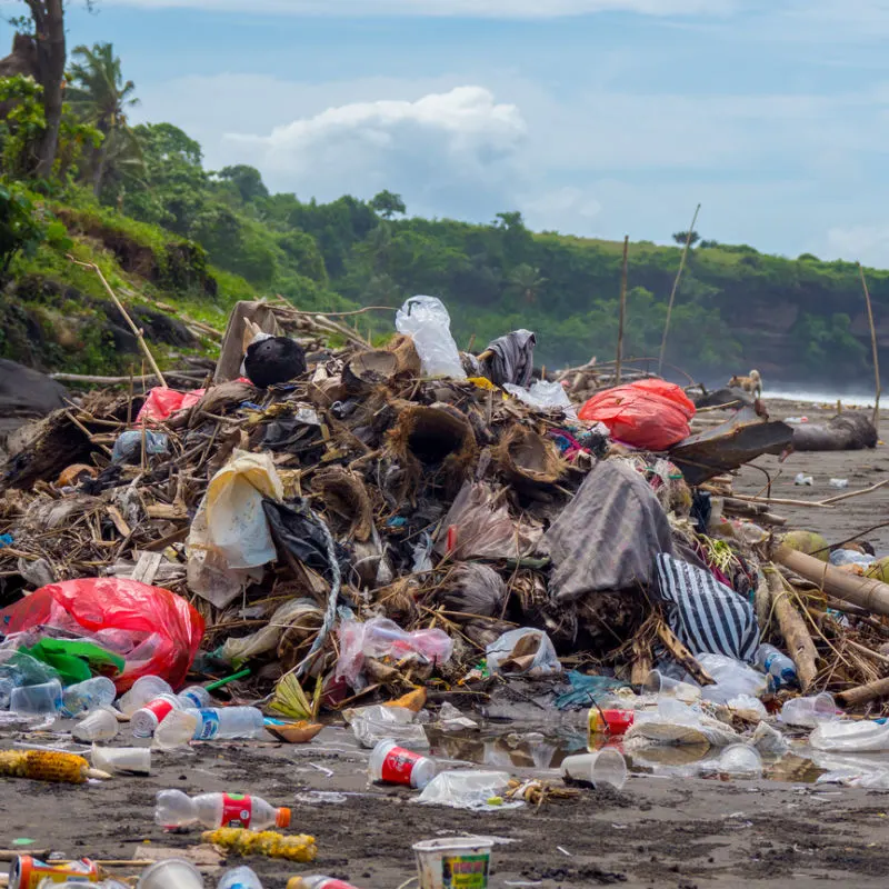 Footage emerges of garbage and polluted seas after tourists return to Bali