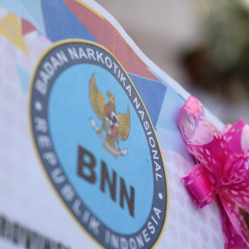 BNN Logo
