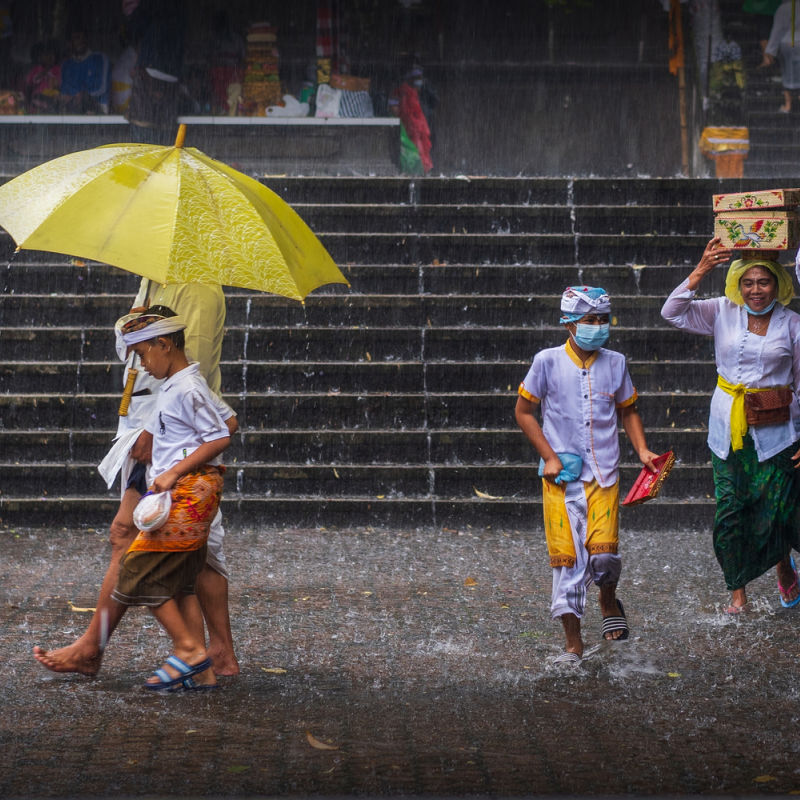 Balinese People On Way To Temple Shelter From The Rain.