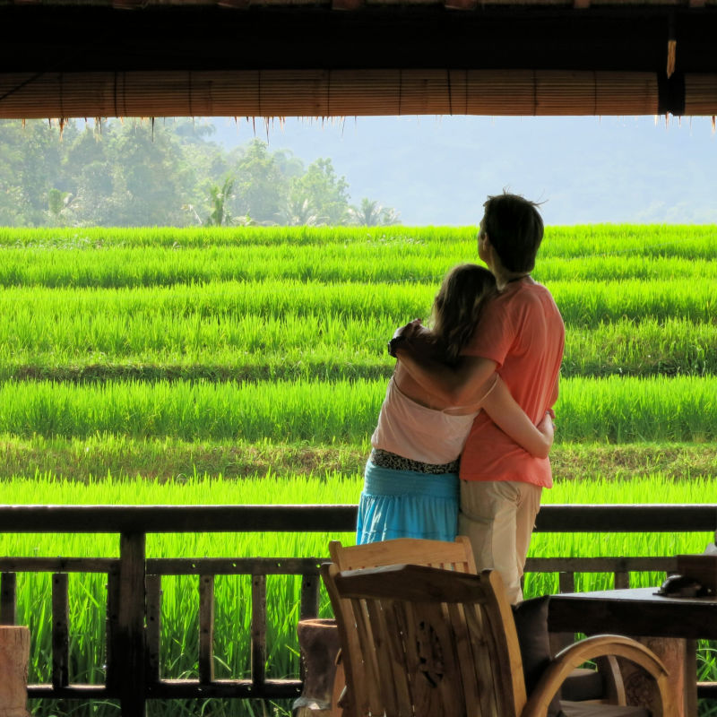Couple Look Out Over Rice Field In Bali