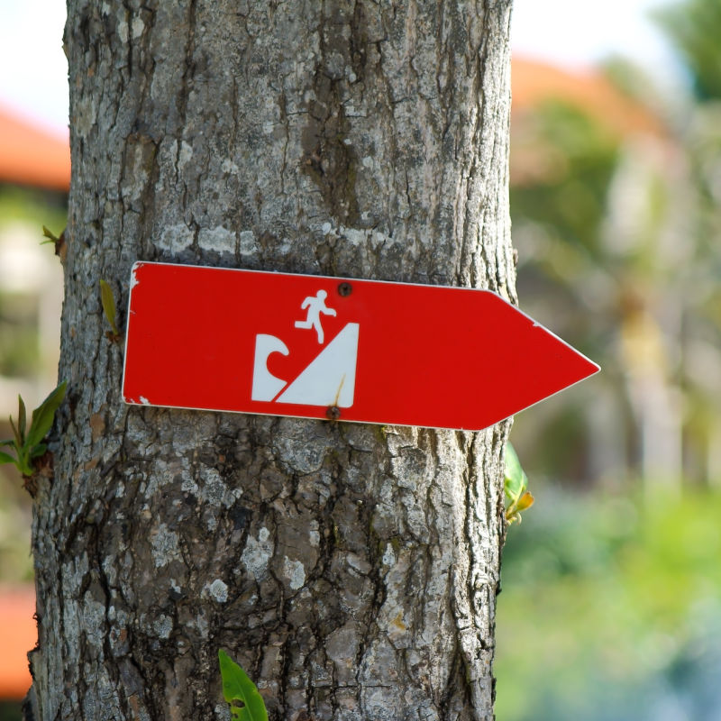 Earthquake Tsunami Sign On A Tree