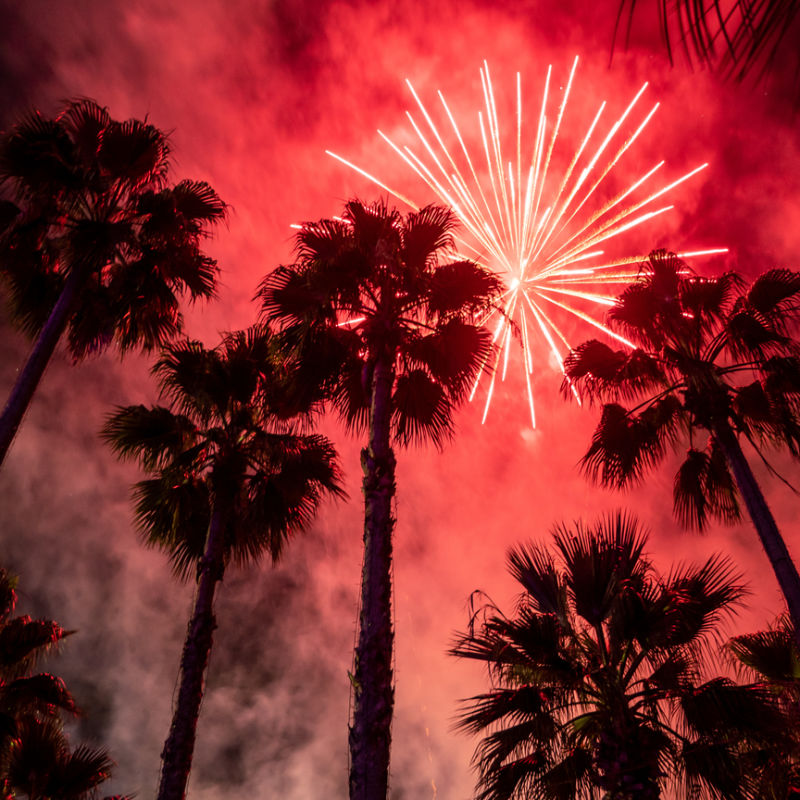Fireworks Explode Over Palm Trees