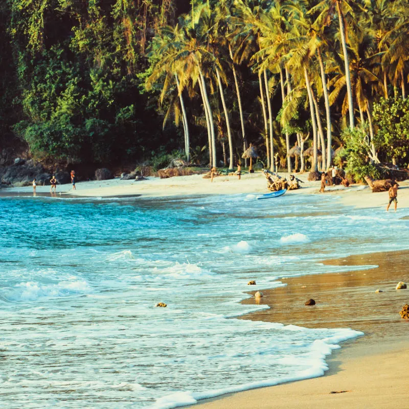 Palm Tree Beach In Bali