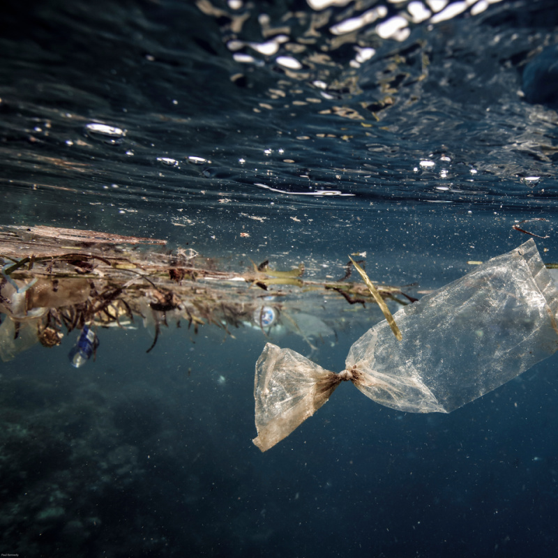 Plastic Waste Under The Ocean Water