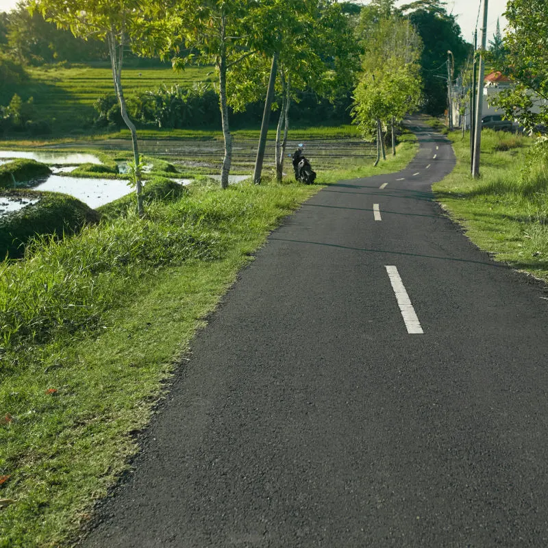Quiet Bali Road Near Canggu By Rice Field farmland.jpg