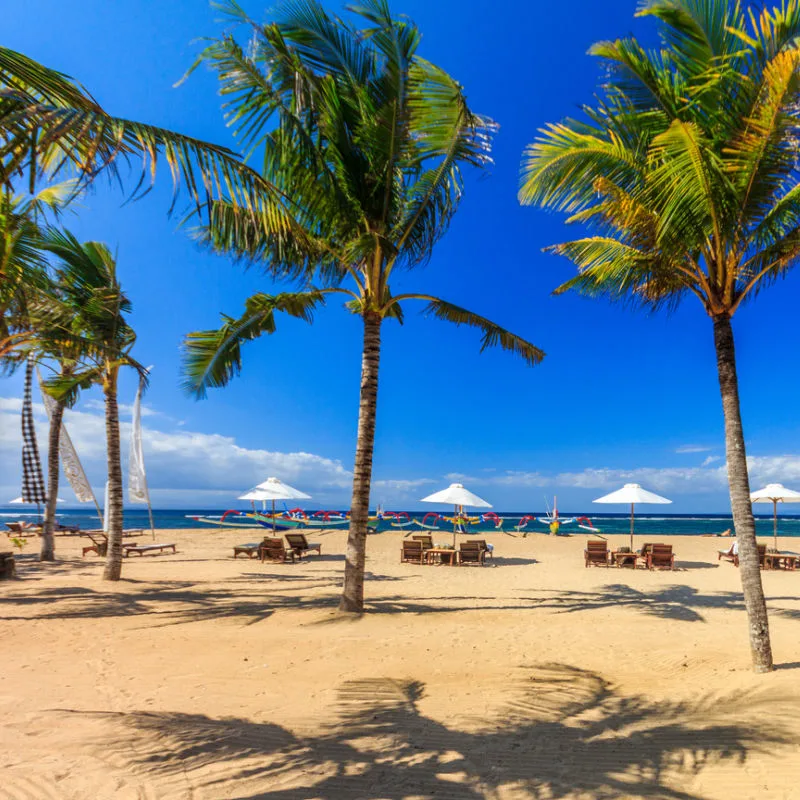 Quiet-Sanur-beach-in-Bali-With-Palm-Trees-and-Sun-loungers