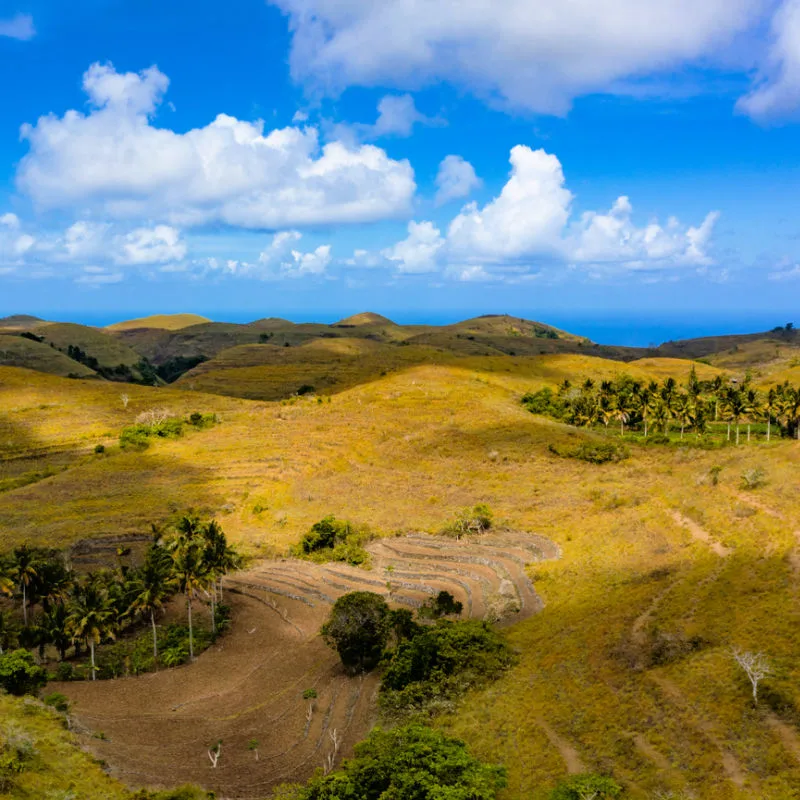 Savannah Hills On Nusa Penida Bali