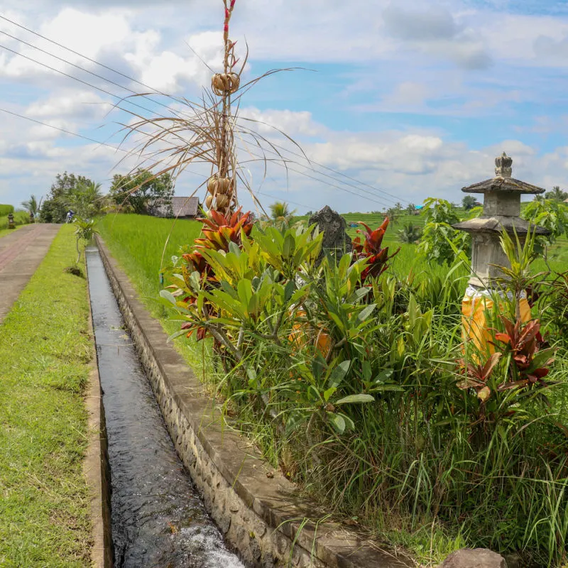 Subak Stream In Southern Bali