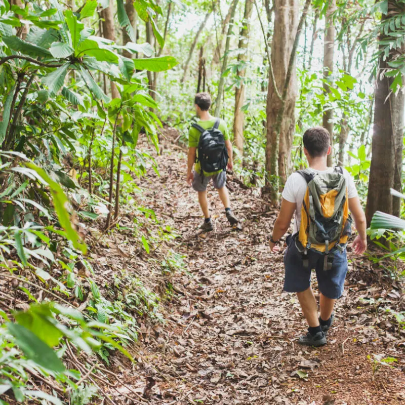 two men hiking through forest in Bali