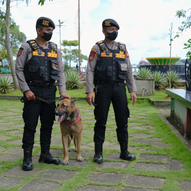 Two Police Officers In Uniform With Police Dog