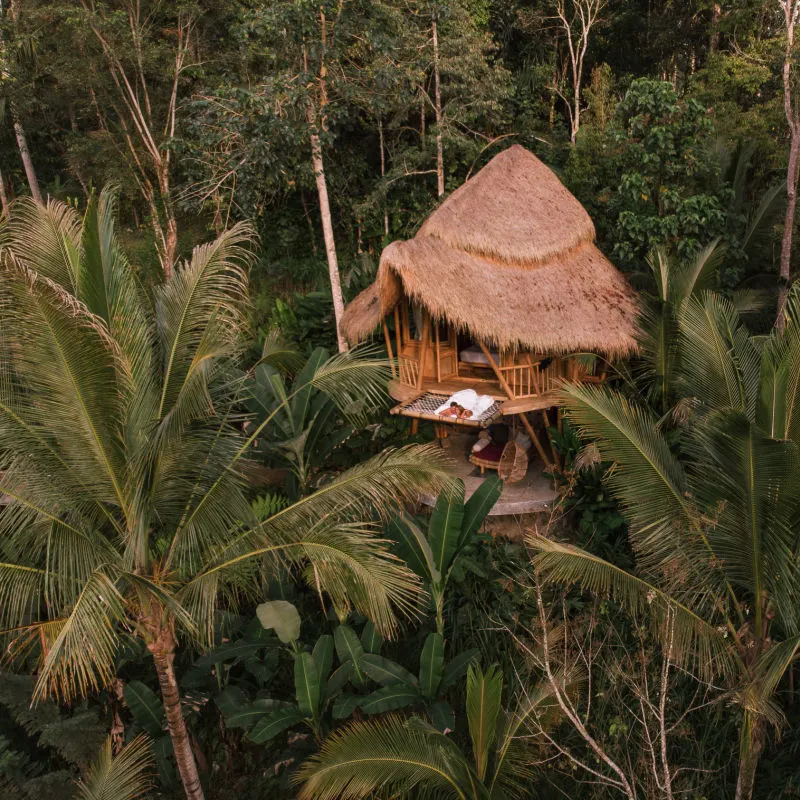 Bamboo-Hut-Treehouse-from-Airbnb-in-Bali