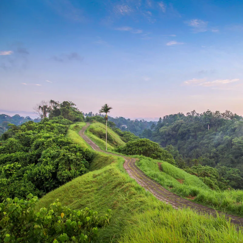 Campuhan-Ridge-Walk-In-Ubud-Bali