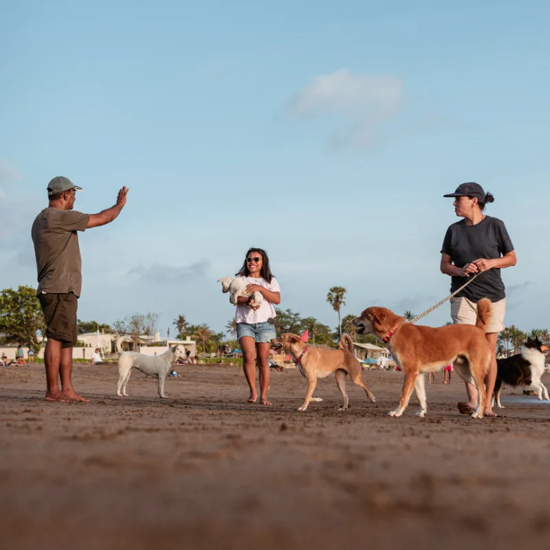 Dog-Walkers-On-Bali-Beach