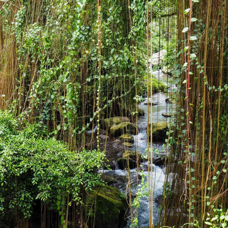 Ravine-River-in-Bali-Ubud