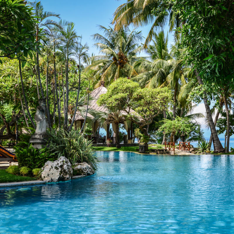 Swimming Pool in A Garden At hotel In Lovina Bali