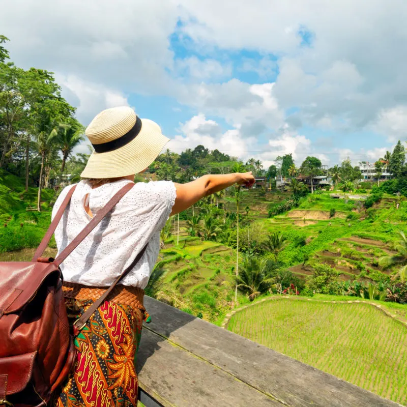 Tourist Looks Out over Bali Rice Field.
