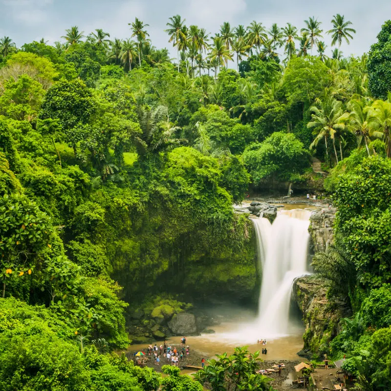 Bali Jungle and Waterfall.jpg