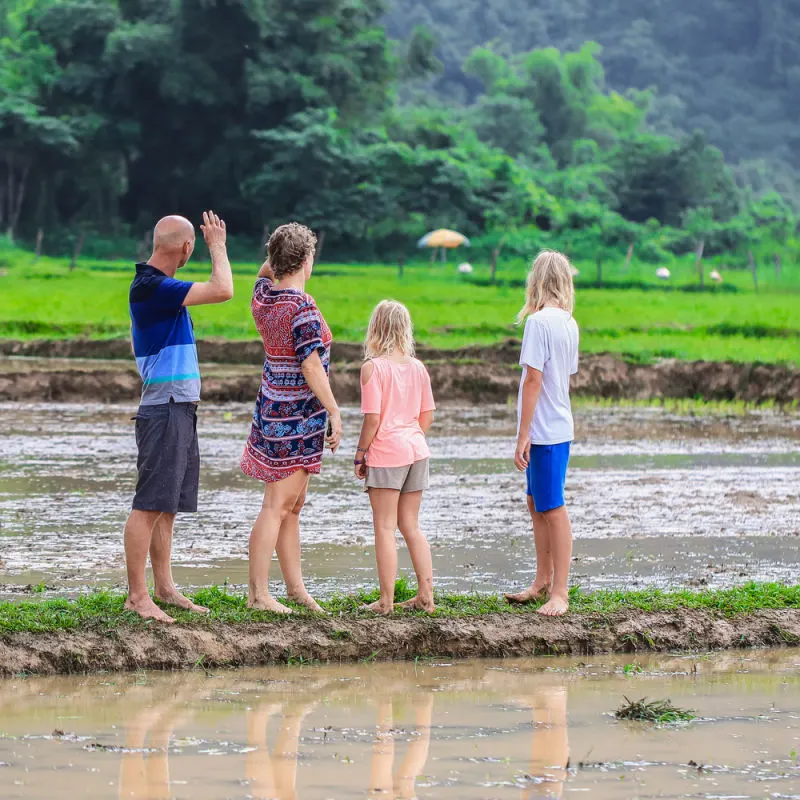 Caucasian Family On Holiday Vacation in Bali Rice Field Rural