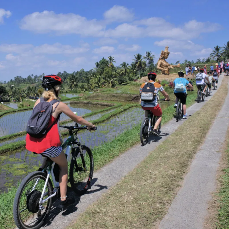 Cyclists Tour Through Rural Bali.jpg