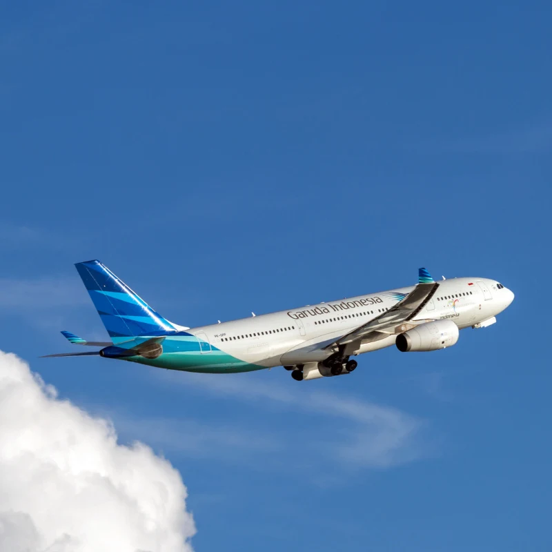 Garuda-Indonesia-Plane-In-the-Sky