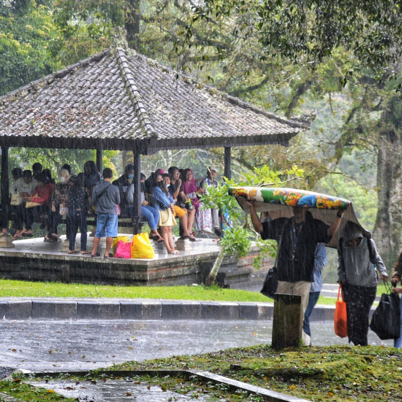 Tourists Shelter From The Rain At Bali Botanical Garden