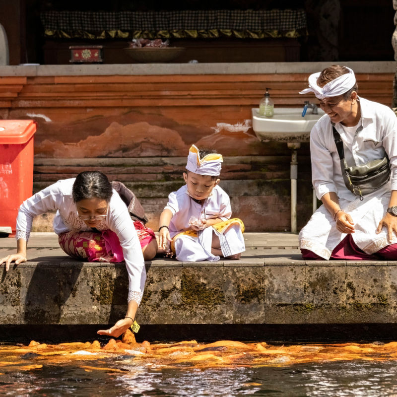 Young Family in Bali Feed Fish at Temple