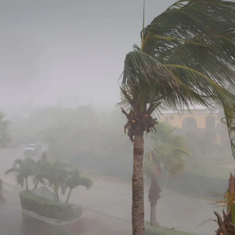 Rain-Storm-Over-Palm-Trees-in-Bali