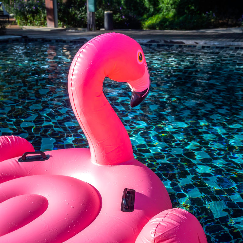 Flamingo Inflatable in Pool.jpg