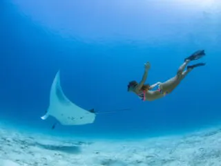 Here's Everything You Need To Know About Snorkeling With Manta Rays In Bali