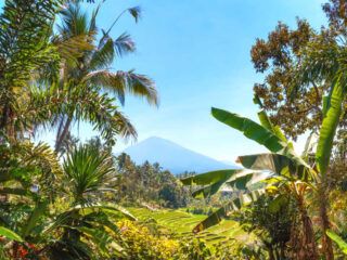 View Of Mount Batukaru in Bali