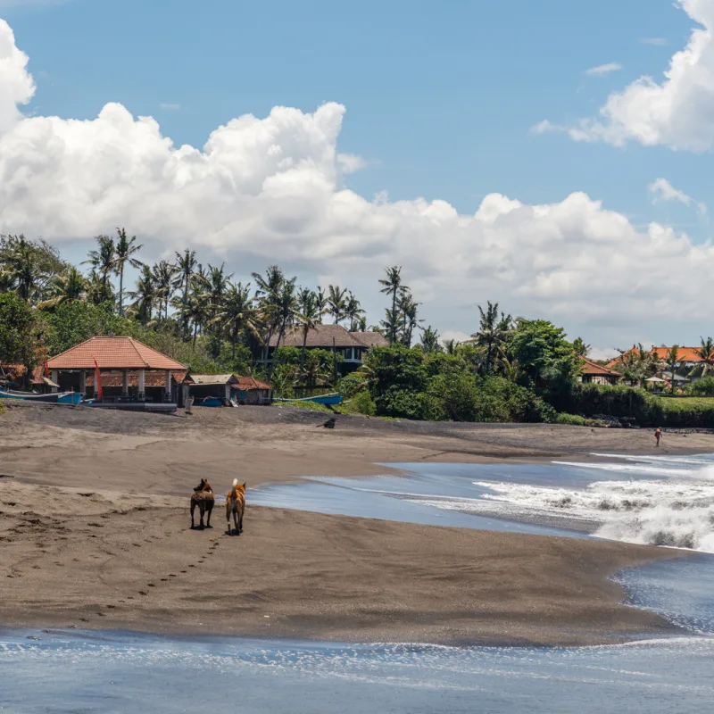 Seseh-Beach-in-Bali