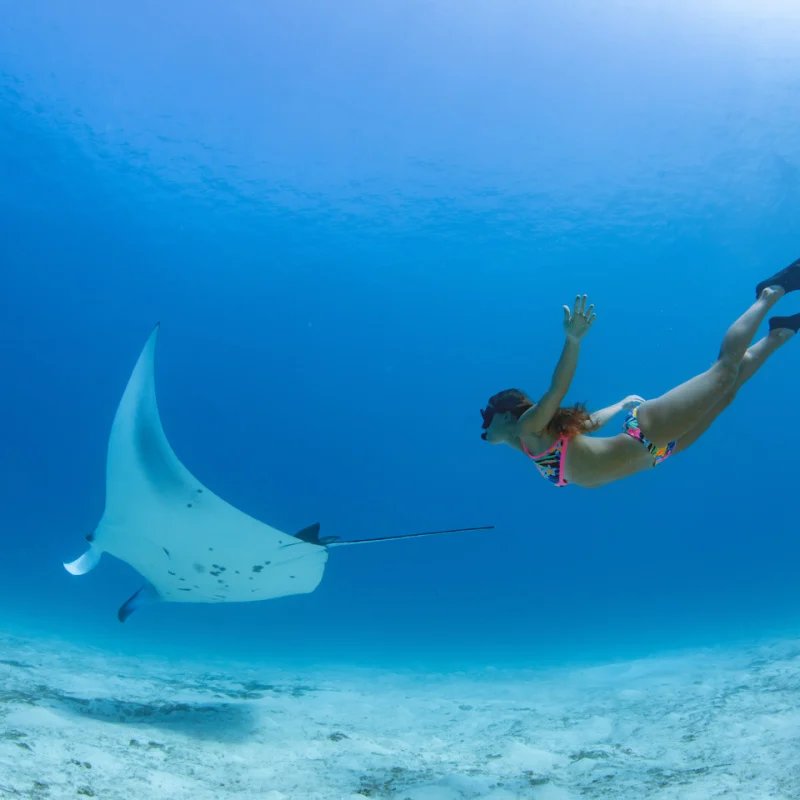 Turista-nada-snorkel-con-manta-rayos-en-Bali