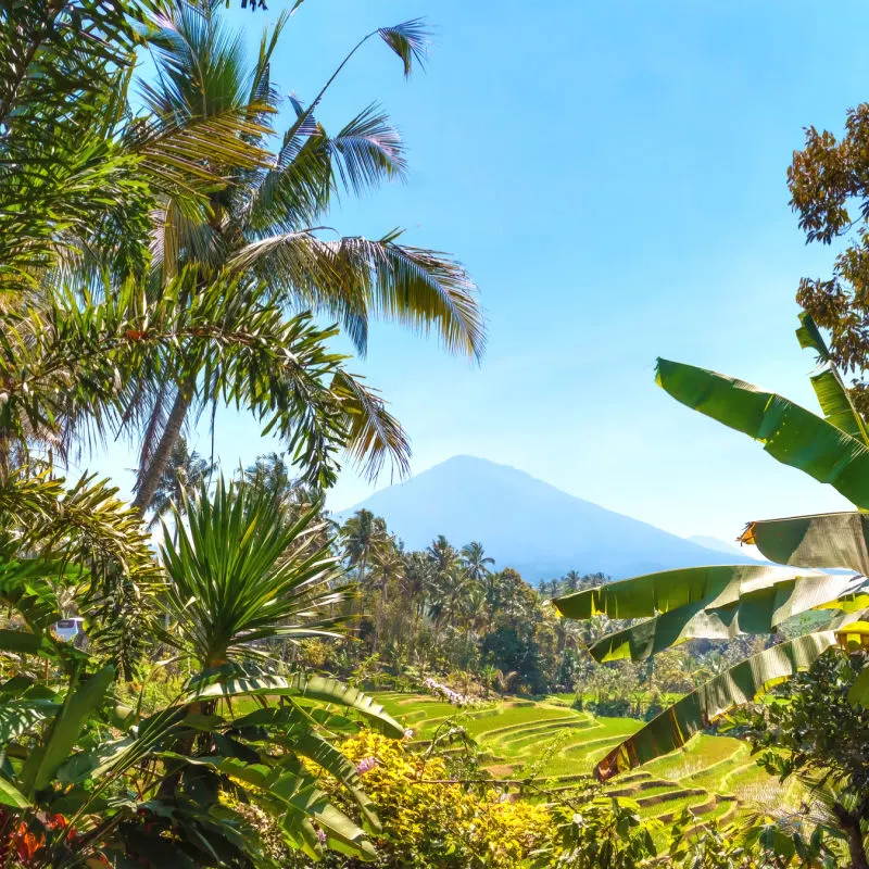 View-Of-Mount-Batukaru-in-Bali