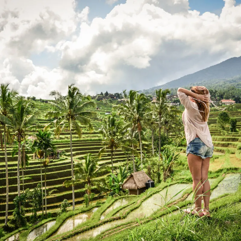 Tourist Stands Overlooking Bali Rice Terrace.jpg