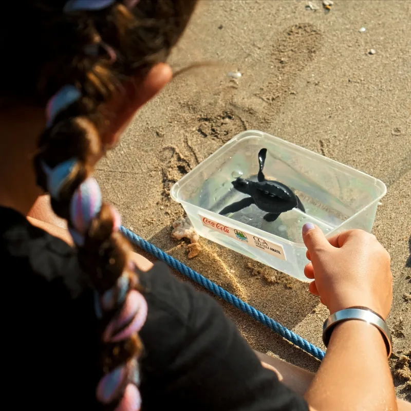 Turtle-Release-Kuta-BEach