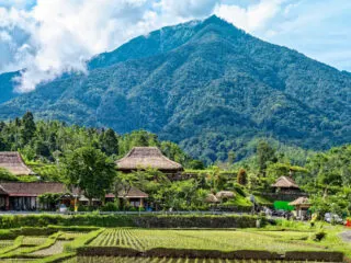 Why Is A Push For More Organic Farming In Bali Is Great News For Tourists?