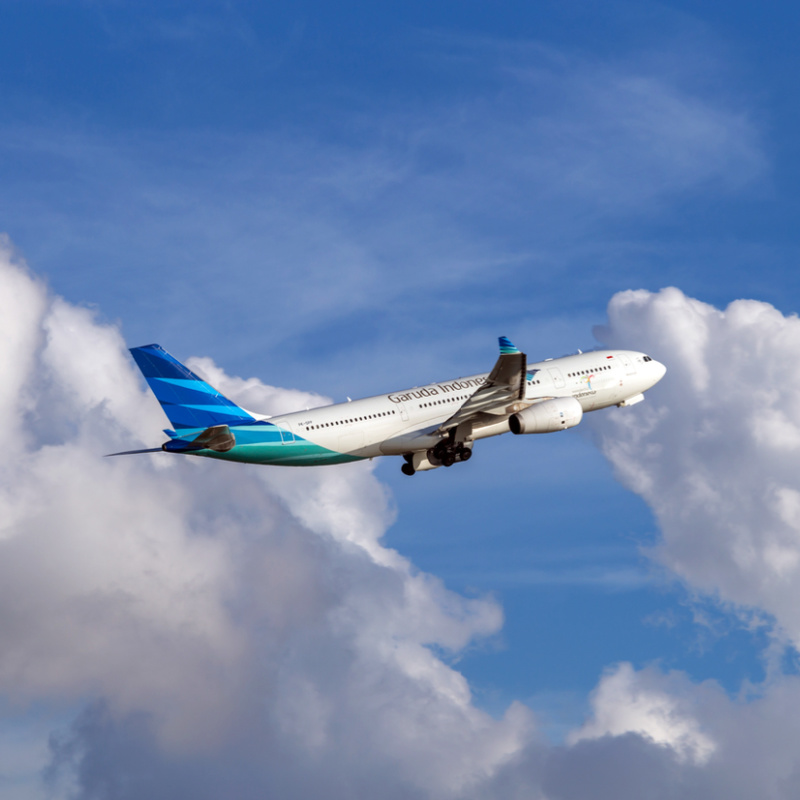 Garuda-Indonesia-Plane-in-the-Sky