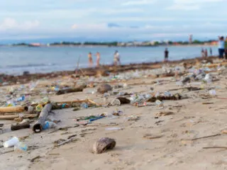 Minister Says New Tourism Tax In Bali Should Be Used To Tackle Island's Waste Problem