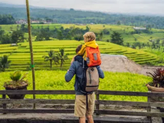 Soaring Demand For Bali’s Iconic Rice Terraces Is Causing Traffic Issues