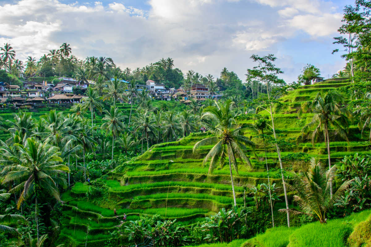 Tourists Are Using Bali’s Ubud As A Launchpad To Explore Unique Parts Of The Island