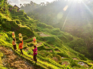 Wonderful Indonesia Launches Competition To Win Trip Of A Lifetime To Bali