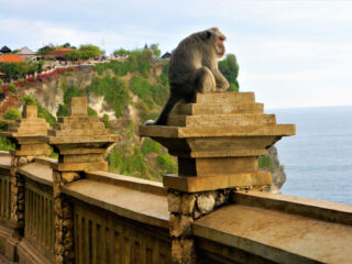 Bali’s Famous Uluwatu Temple Is Working To Mitigate Behavior Of ‘Naughty” Monkeys