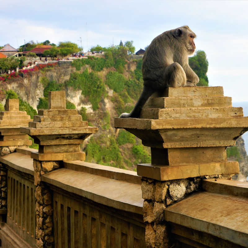 Świątynia Małpy w Uluwatu